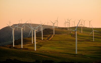 The Future of Renewable Energy: Growth Projections