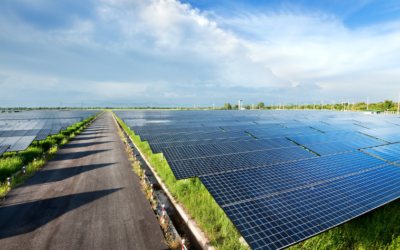 Solar Revolution: Unveiling the Latest Innovations Driving the Future of Solar Energy