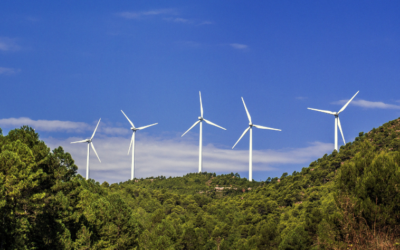 Harvesting the Wind: Exploring the Power of Wind Energy in Sustainable Development