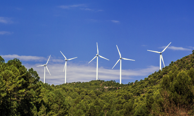 Harvesting the Wind: Exploring the Power of Wind Energy in Sustainable Development